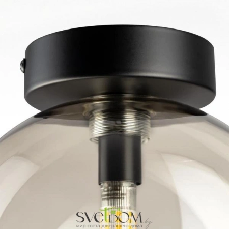 Накладные светильники CITILUX CL202511 от Магазина Svetdom.by