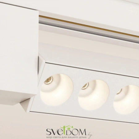 TR010-1-20W3K-M-W Maytoni