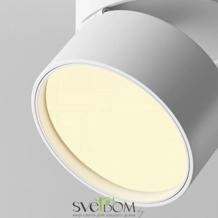 Потолочные светильники Maytoni C024CL-12W2.7K-W-1 от Магазина Svetdom.by