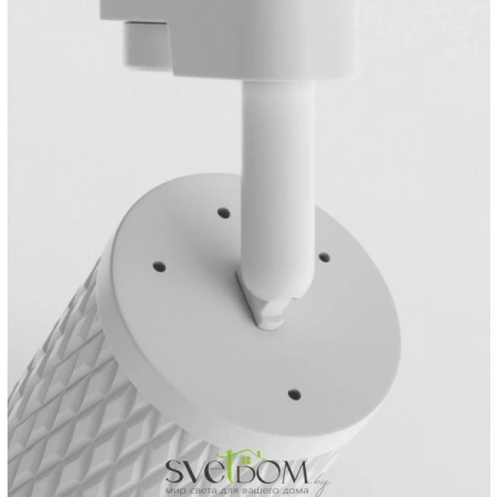 TR011-1-GU10-W Maytoni