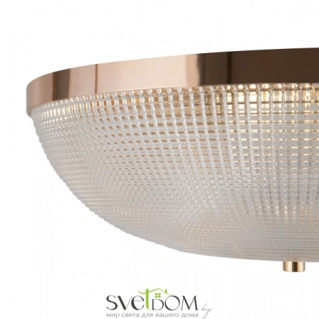 Потолочные светильники Maytoni C046CL-04G от Магазина Svetdom.by