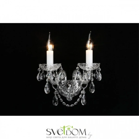 Настенные светильники APL.814.01.02 Aployt | Svetdom.by