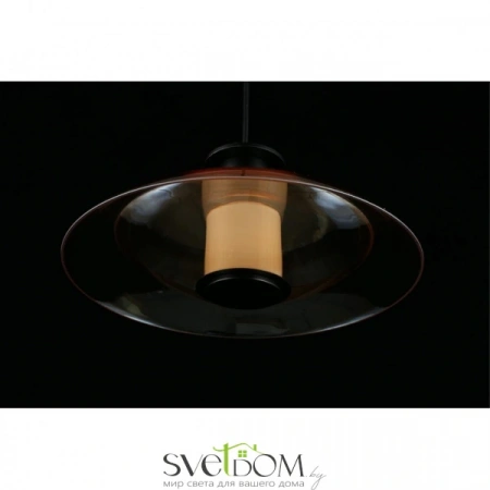 Подвесные светильники Aployt APL.648.16.10 от Магазина Svetdom.by