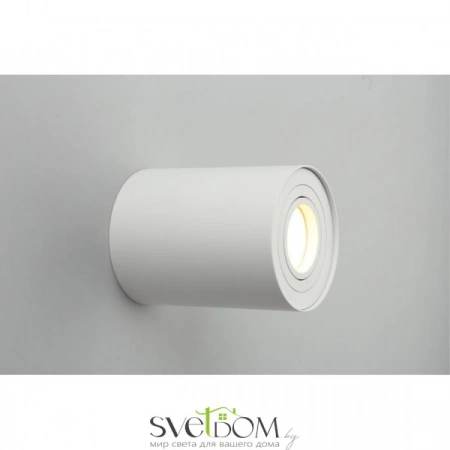 Накладные светильники Omnilux OML-101009-01 от Магазина Svetdom.by