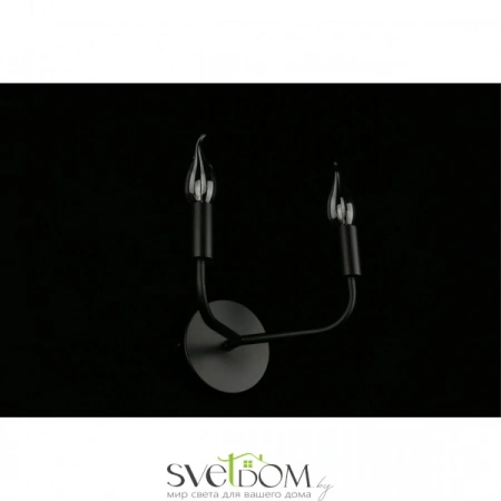 Настенные светильники APL.338.11.02 Aployt | Svetdom.by