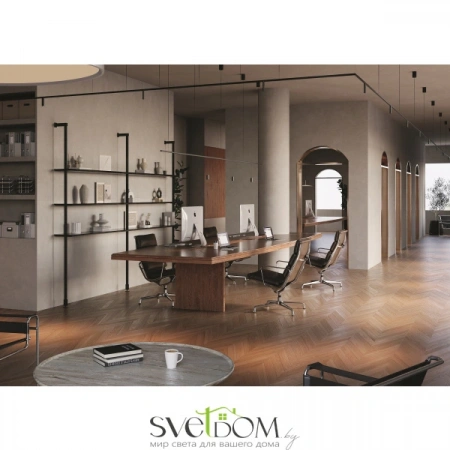 Светильники Maytoni C102CL-3W3-6K-B от Магазина Svetdom.by