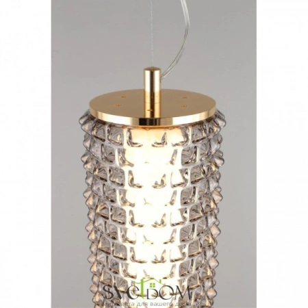 Подвесные светильники Aployt APL.331.16.29 от Магазина Svetdom.by