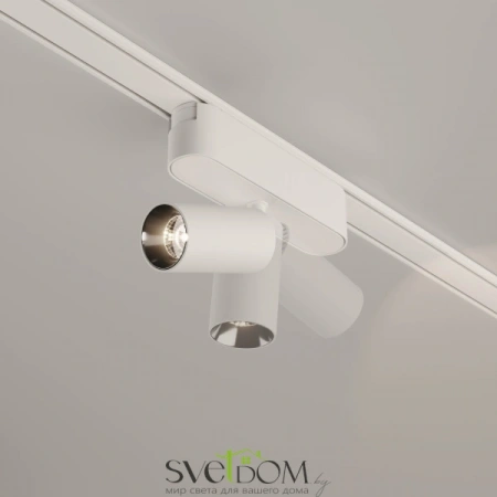 TR103-1-5W4K-M-W Maytoni