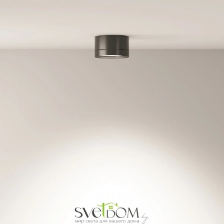 Потолочные светильники Maytoni C086CL-GX53-SRD-B от Магазина Svetdom.by