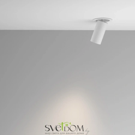 Встраиваемые светильники Maytoni C081CL-01-GU10-W от Магазина Svetdom.by