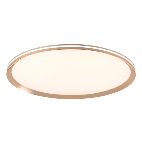 Потолочные светильники LED4U L3020-600 GD от Магазина Svetdom.by