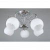 Люстры потолочныеOML-24707-05 Omnilux | Svetdom.by