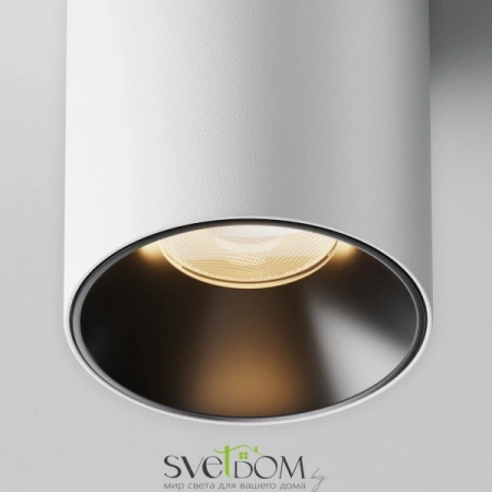 Потолочные светильники Maytoni C064CL-12W3K-RD-WB от Магазина Svetdom.by