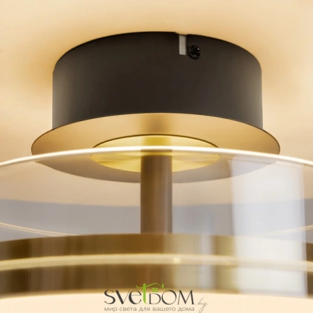 Потолочные светильники Maytoni MOD348CL-L18BBS3K от Магазина Svetdom.by