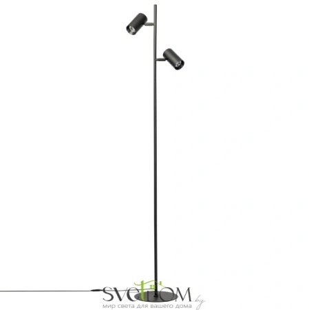 Citilux Twin CL809011N Торшер светодиодный Чёрный CITILUX