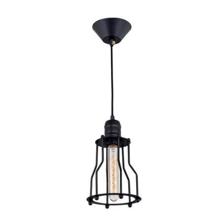 Подвесной светильник Citilux Эдисон CL450201 CITILUX