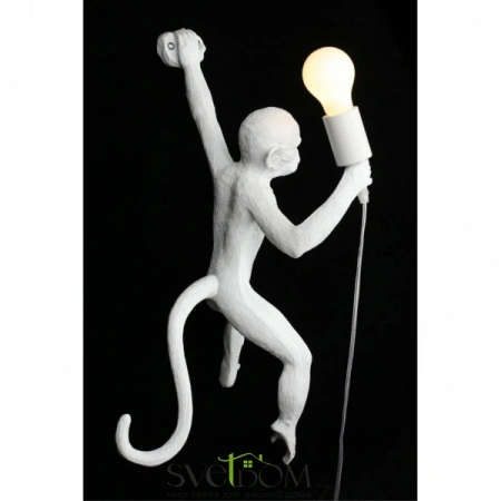 Настенные светильники APL.309.01.01 Aployt | Svetdom.by