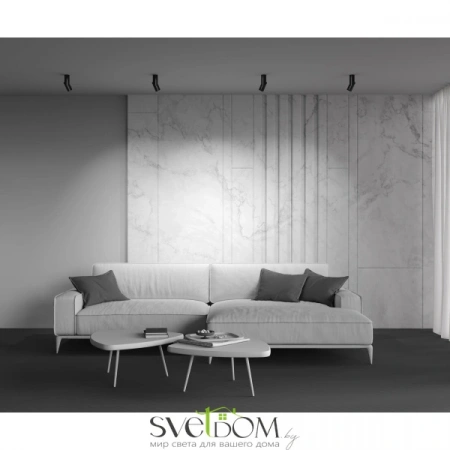 Потолочные светильники Maytoni C027CL-L10B от Магазина Svetdom.by