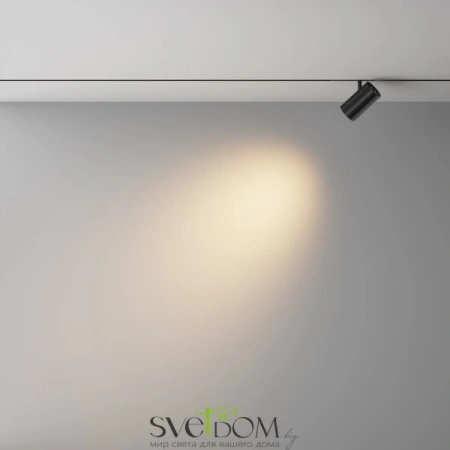 TR243-12W3K-B Maytoni