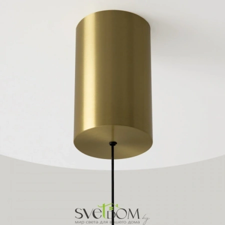 Подвесные светильники Maytoni P076PL-L12W3K-BS от Магазина Svetdom.by