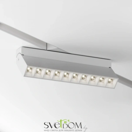 TR077-2-20W3K-W Maytoni