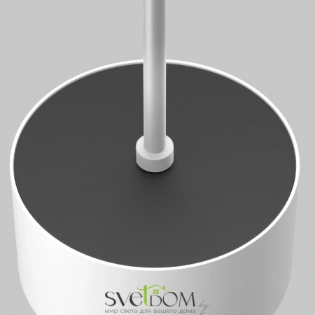 Подвесные светильники Maytoni P102PL-12W3K-W от Магазина Svetdom.by