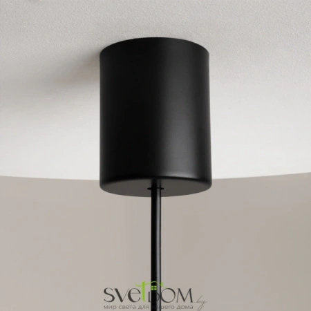 Подвесные светильники Maytoni Z020PL-L6B3K от Магазина Svetdom.by