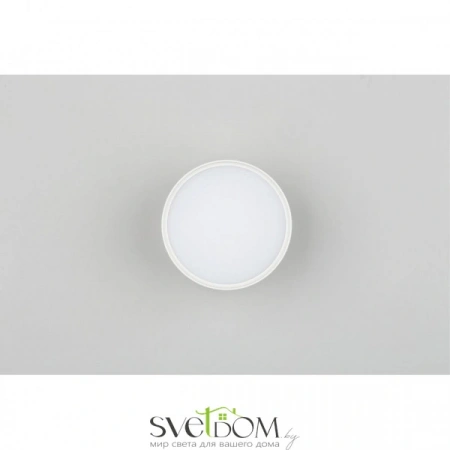 Накладные светильники Omnilux OML-103309-06 от Магазина Svetdom.by