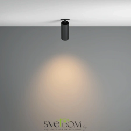 Потолочные светильники Maytoni C053CL-L12W3K-W-B от Магазина Svetdom.by