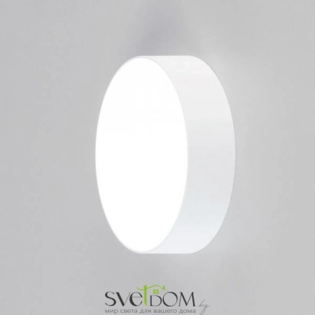 Накладные светильники CITILUX CL712120N от Магазина Svetdom.by