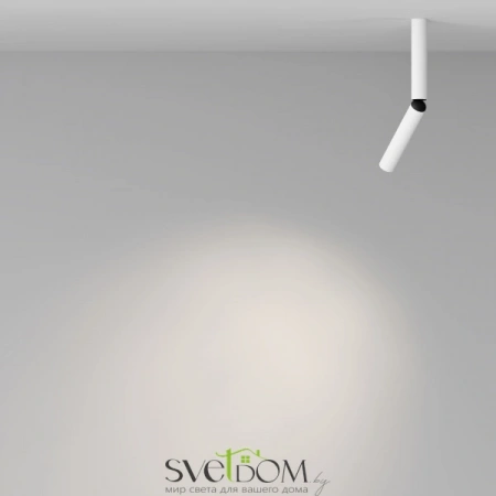 Потолочные светильники Maytoni C142CL-6W4K-W от Магазина Svetdom.by