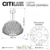 CITILUX CL327170 DELTORO Люстра CITILUX