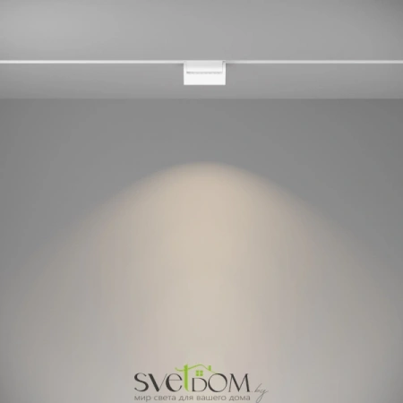 TR013-2-10W4K-W Maytoni