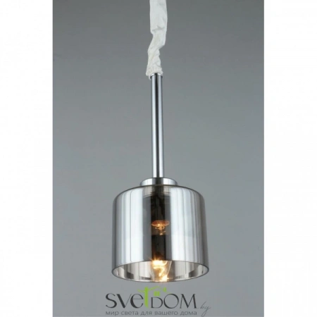 Подвесные светильники Omnilux OML-55806-01 от Магазина Svetdom.by