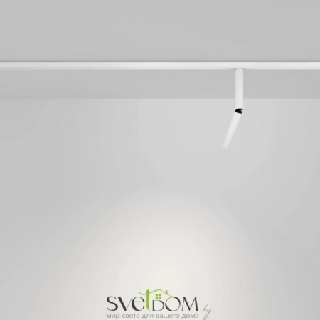 TR142-1-6W3K-W Maytoni