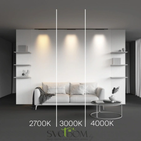 TR192-1-8W2.7K-B Maytoni