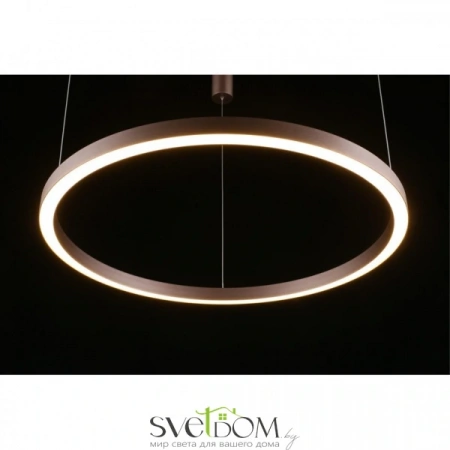 Люстры подвесныеAPL.025.03.60 Aployt | Svetdom.by