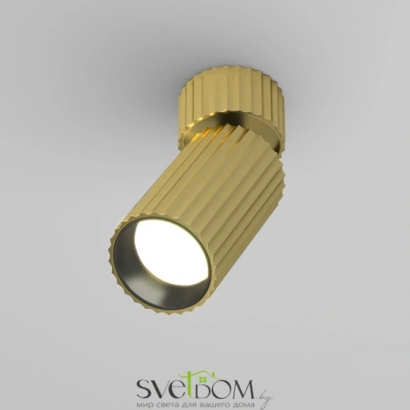 Потолочные светильники Maytoni C108CL-01-GU10-BS от Магазина Svetdom.by