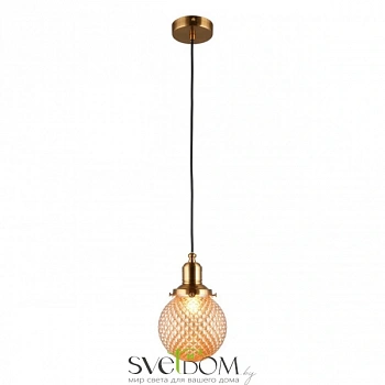 Светильник подвесной Aployt  APL.302.16.01