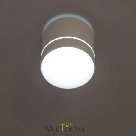 Накладные светильники CITILUX CL745020N от Магазина Svetdom.by