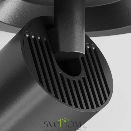 Потолочные светильники Maytoni C048CL-U-1B от Магазина Svetdom.by