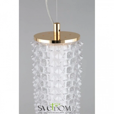 Подвесные светильники Aployt APL.331.06.29 от Магазина Svetdom.by