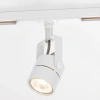 Трековый светильник Citilux Ринг CL525T10 CITILUX