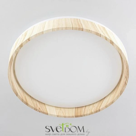 Потолочные светильники CITILUX CL753352G от Магазина Svetdom.by