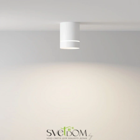 Потолочные светильники Maytoni C085CL-9W4K-W от Магазина Svetdom.by