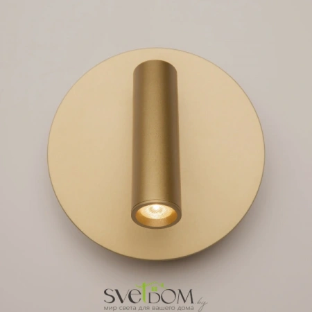 Настенные светильники C176-WL-01-6W-MG Maytoni | Svetdom.by