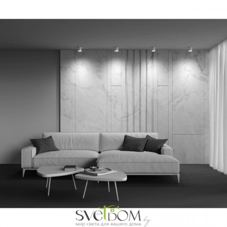 Потолочные светильники Maytoni C088CL-GX53-MG от Магазина Svetdom.by