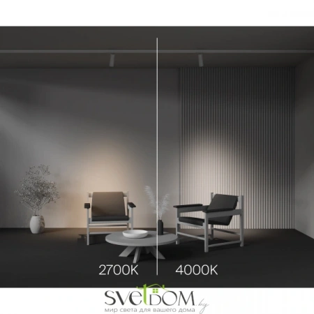 TR198-3-20W4K-Z-W Maytoni