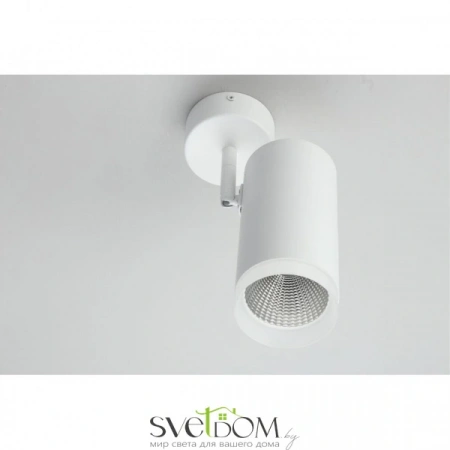 Настенно-потолочные светильники Omnilux OML-102609-20 от Магазина Svetdom.by