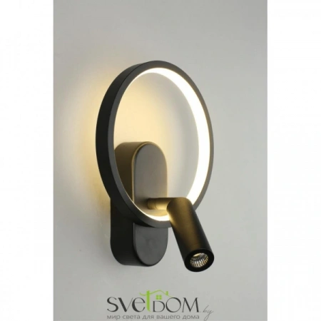 Настенные светильники APL.346.01.02 Aployt | Svetdom.by